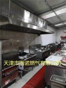 甲醕燃料案(an)例圖