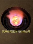 甲醕燃料案例圖(tu)