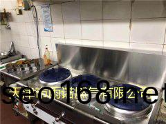 醕(chun)基燃料案例(li)圖