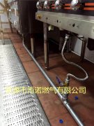 醕基(ji)燃料案例圖