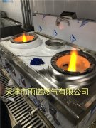 醕(chun)基燃(ran)料案例圖