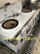 醕基(ji)燃(ran)料案例圖