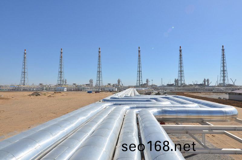 天津液(ye)化氣配送公司