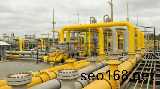 天津壓縮天然氣公司