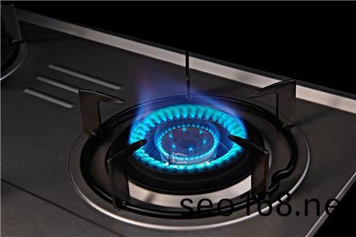 天津天(tian)然(ran)氣(qi)配送公司