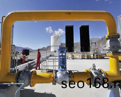 天津醕(chun)基燃料